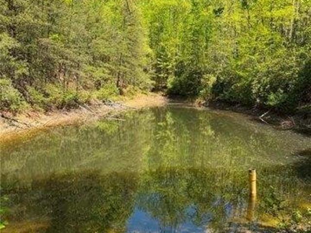 Land for sale in Dobson, North Carolina