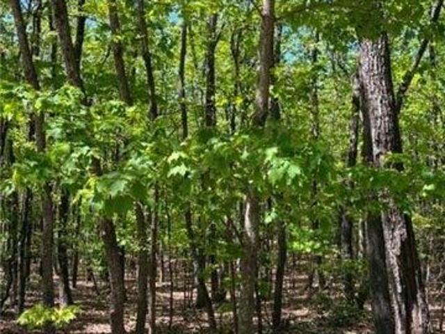 Land for sale in Dobson, North Carolina