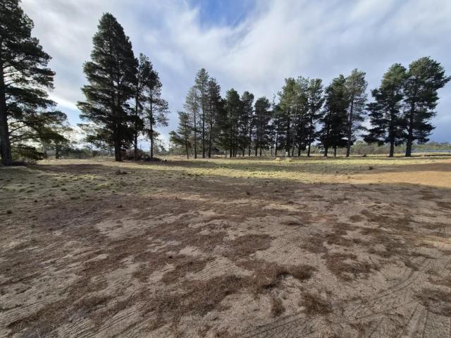 Land for sale in Dolphin Sands, Tasmania