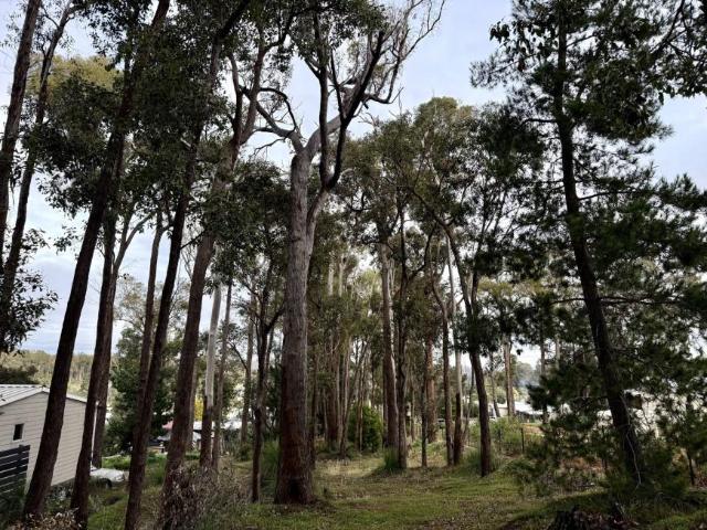 Land for sale in Western Australia