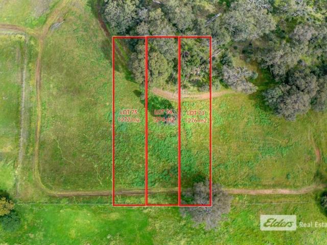 Land for sale in Donnybrook, Shire Of Donnybrook-Balingup