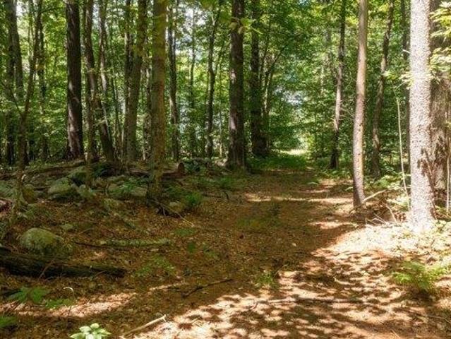 Land for sale in Bennington, Vermont
