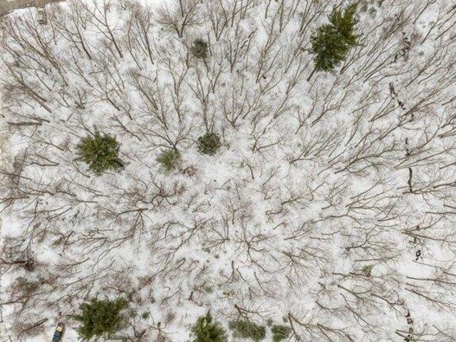 Land for sale in Douglas, Massachusetts