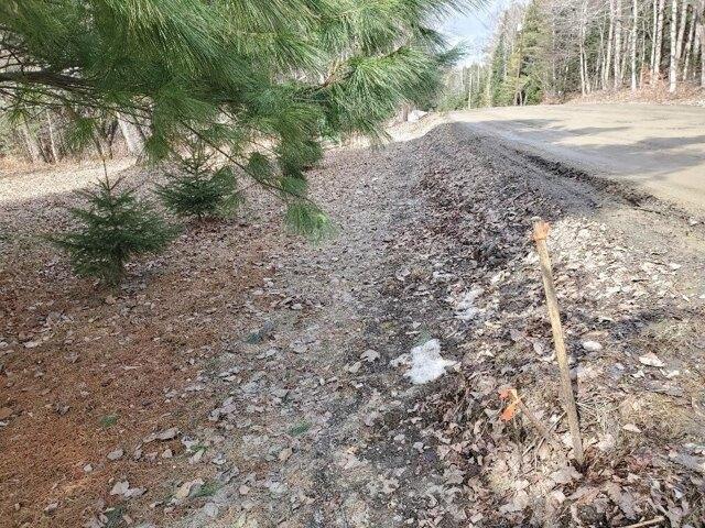 Land for sale in Dover Foxcroft, Maine