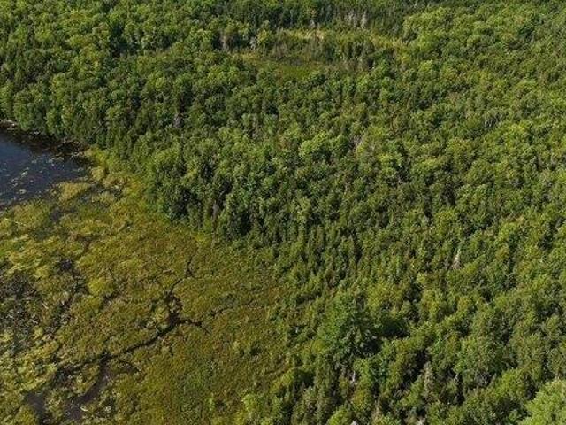 Land for sale in Dover Foxcroft, Maine