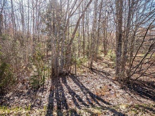 Land for sale in Dresden, Maine