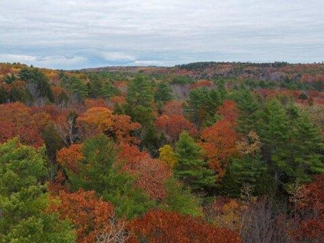 Land for sale in Dresden, Maine