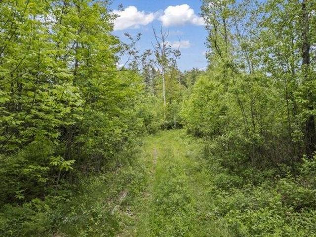 Land for sale in Dresden, Maine