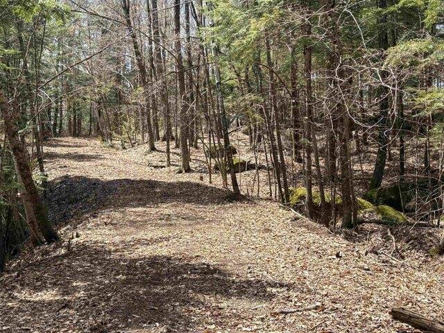 Land for sale in New Hampshire