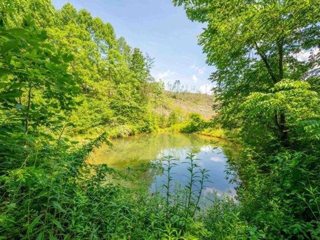 Land for sale in Virginia