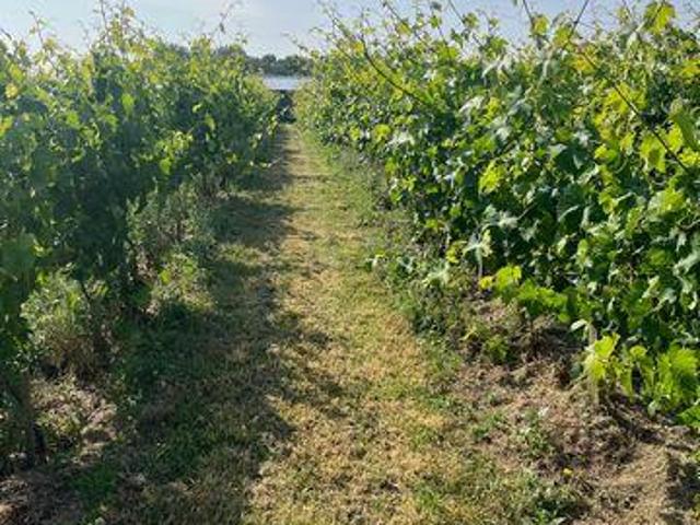 Land for sale in Ardee, North Tipperary