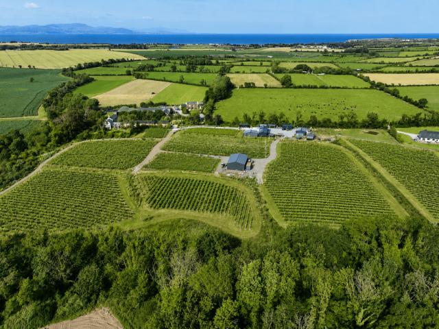 Land for sale in Ardee, North Tipperary