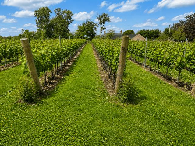 Land for sale in Ardee, North Tipperary