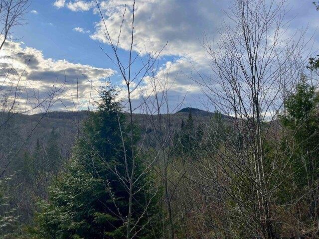 Land for sale in Vermont