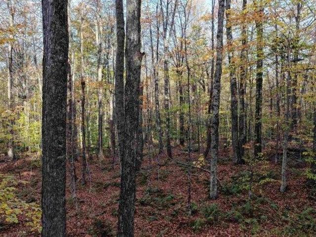 Land for sale in Vermont