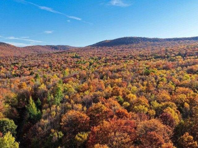 Land for sale in Vermont