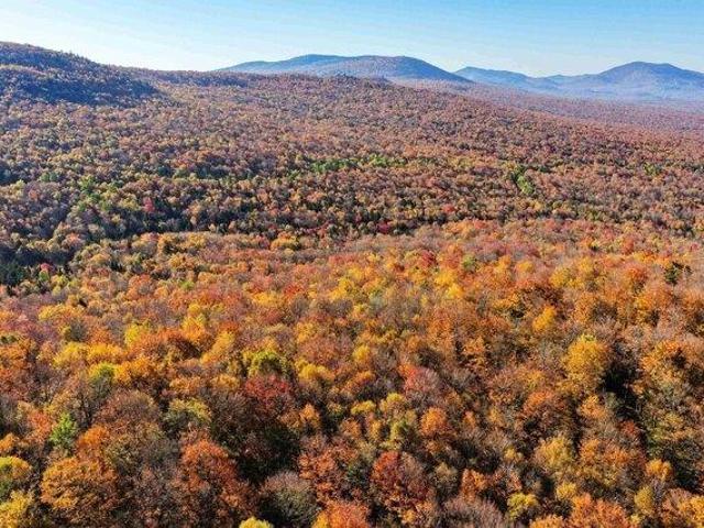 Land for sale in Vermont