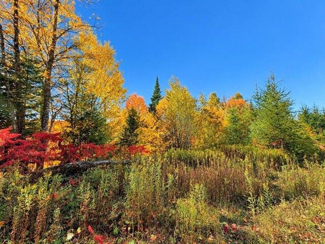 Land for sale in Lost Nation, Essex County