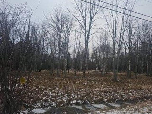 Land for sale in East Jewett