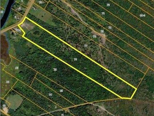 Land for sale in East Machias, Maine