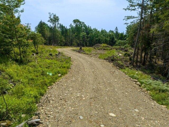 Land for sale in East Machias, Maine