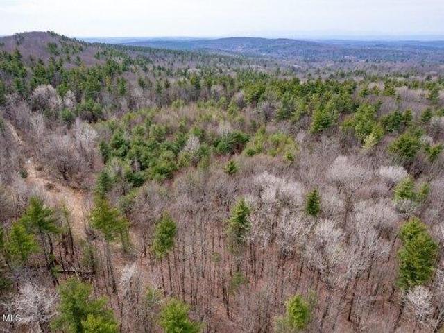 Land for sale in Brainard, New York