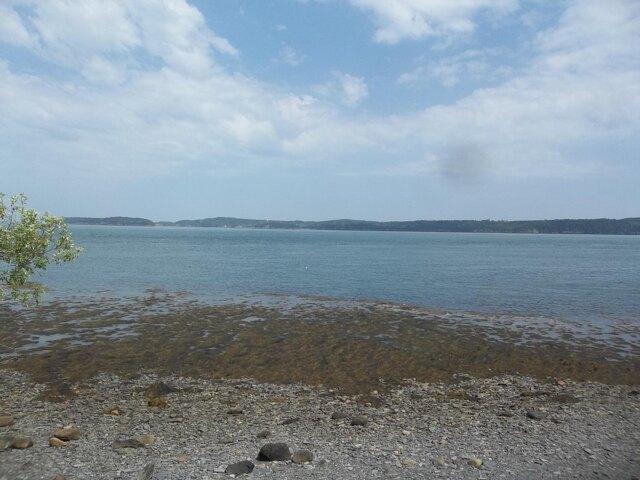 Land for sale in Eastport, Maine