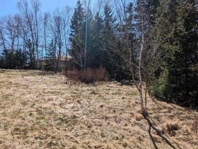 Land for sale in Eastport, Maine