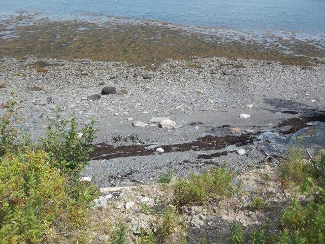Land for sale in Eastport, Maine