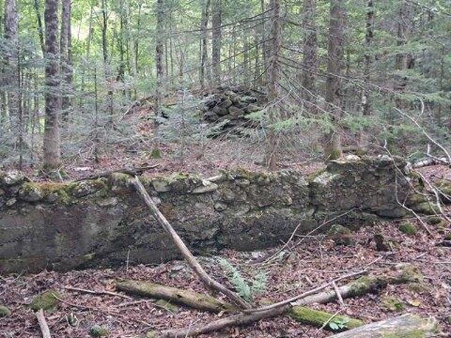 Land for sale in Eden, Vermont