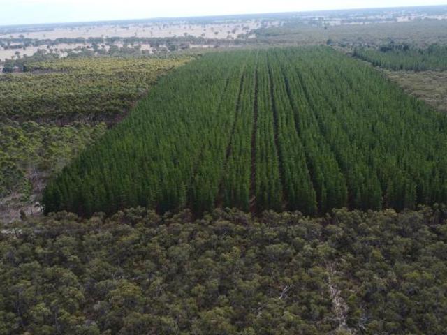 Land for rent in Edenhope, Victoria