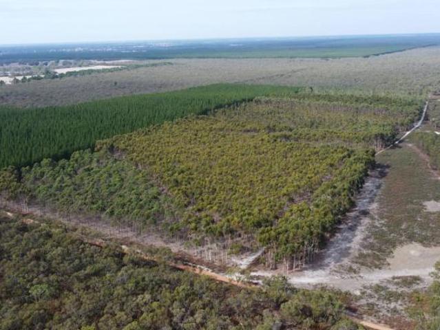 Land for rent in Edenhope, Victoria