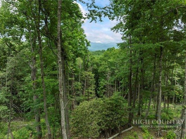 Land for sale in Avery, North Carolina