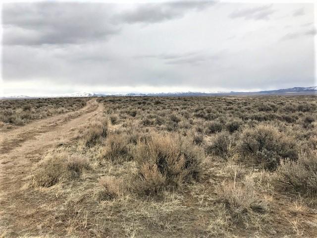Land for sale in Elko, Nevada