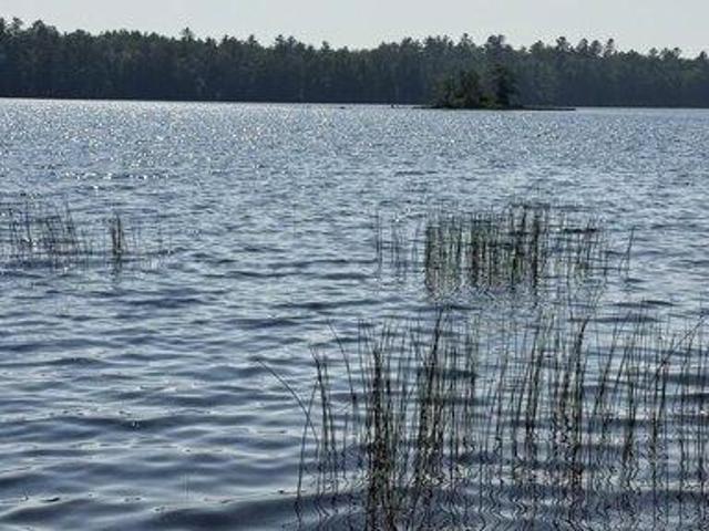 Land for sale in Ellsworth, Maine