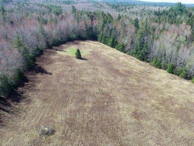 Land for sale in Ellsworth, Maine