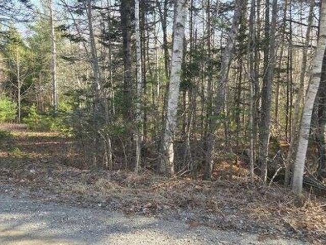 Land for sale in Fletchers Landing Township, Mariaville