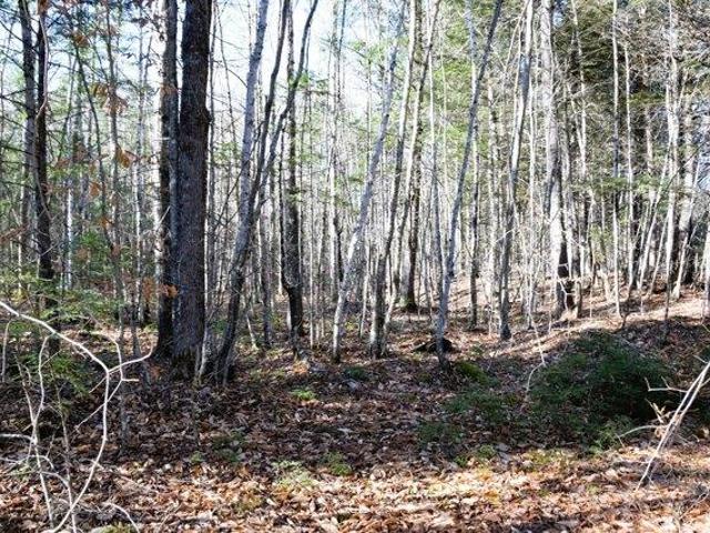 Land for sale in Maine
