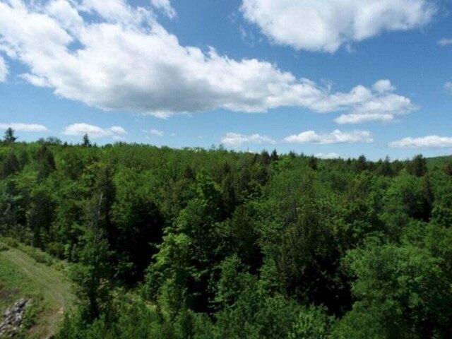 Land for sale in Maine