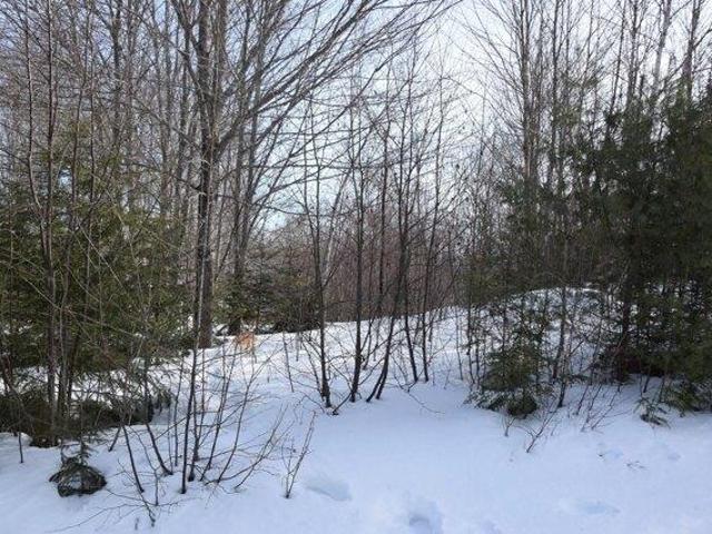 Land for sale in Maine