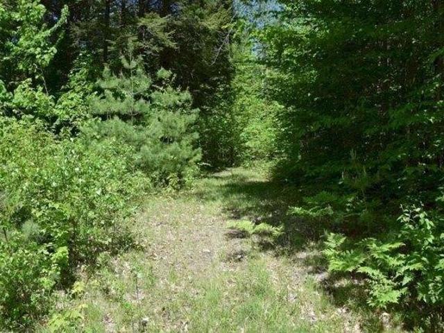 Land for sale in Maine