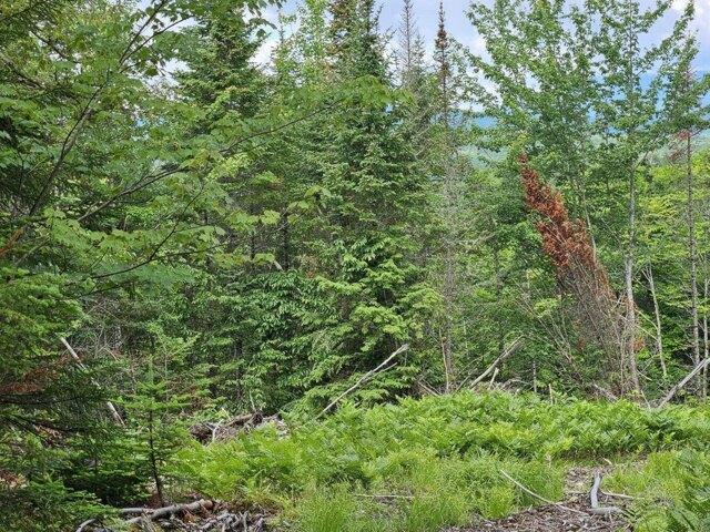 Land for sale in Maine