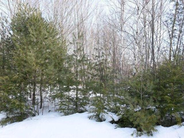 Land for sale in Maine