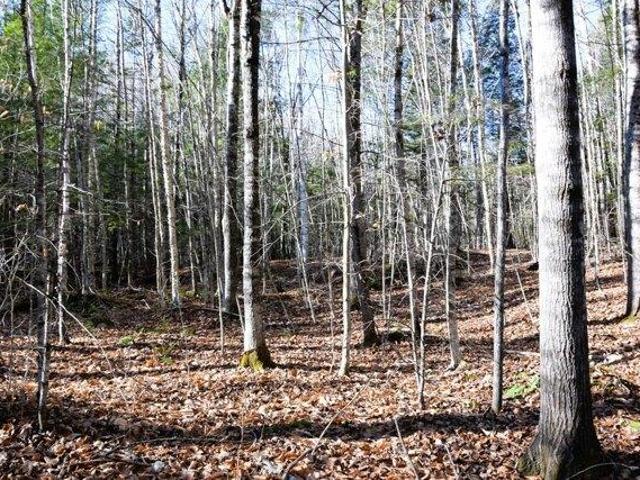Land for sale in Maine