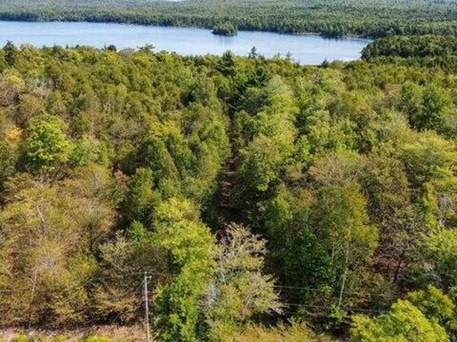 Land for sale in Maine