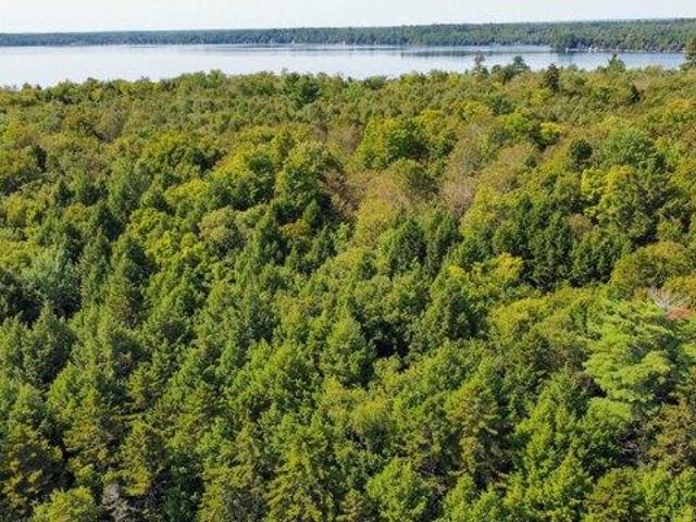 Land for sale in Maine