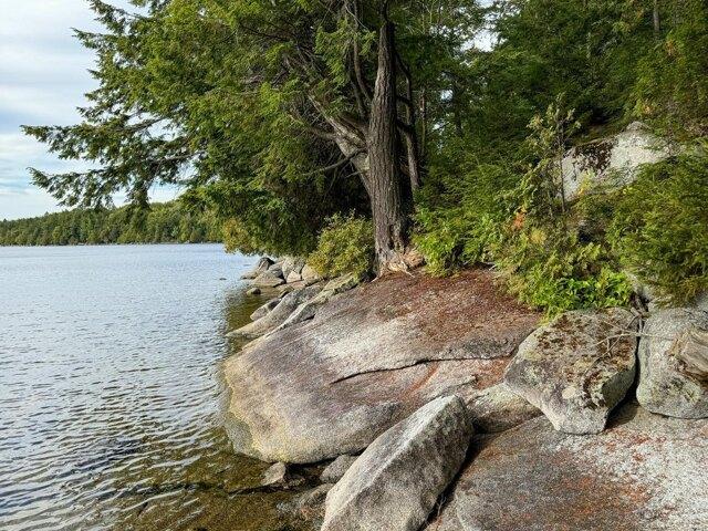 Land for sale in Maine