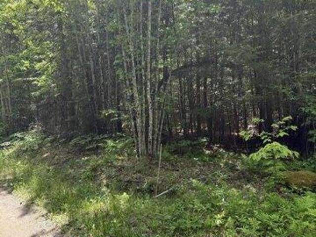 Land for sale in Maine