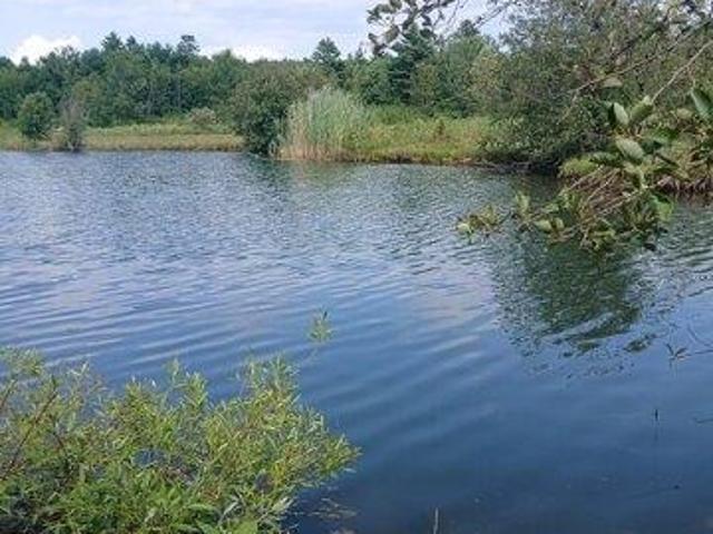 Land for sale in New Hampshire