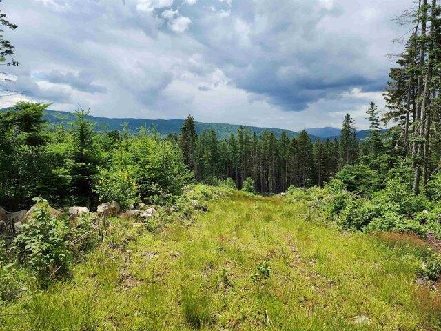Land for sale in New Hampshire